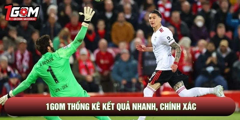 1gom thống kê kết quả nhanh, chính xác