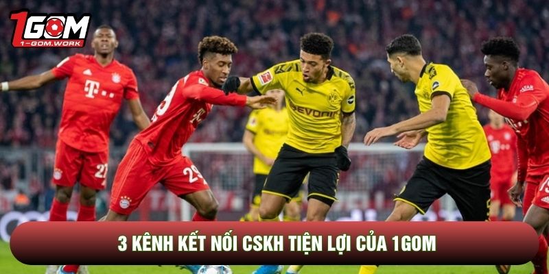 3 kênh kết nối CSKH tiện lợi của 1gom