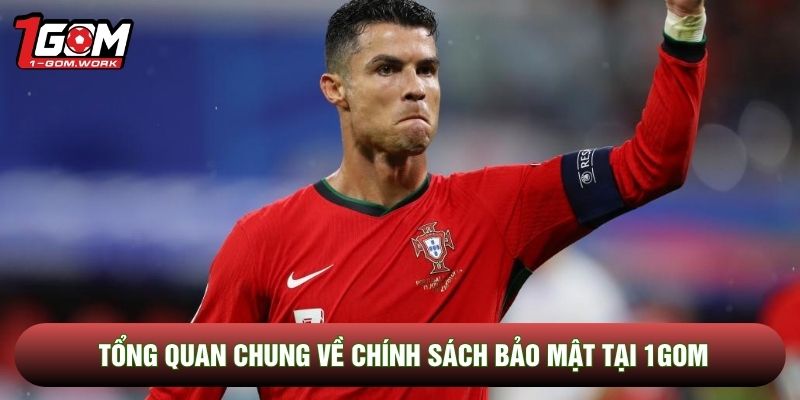 Tổng quan chung về chính sách bảo mật tại 1gomTổng quan chung về chính sách bảo mật tại 1gom
