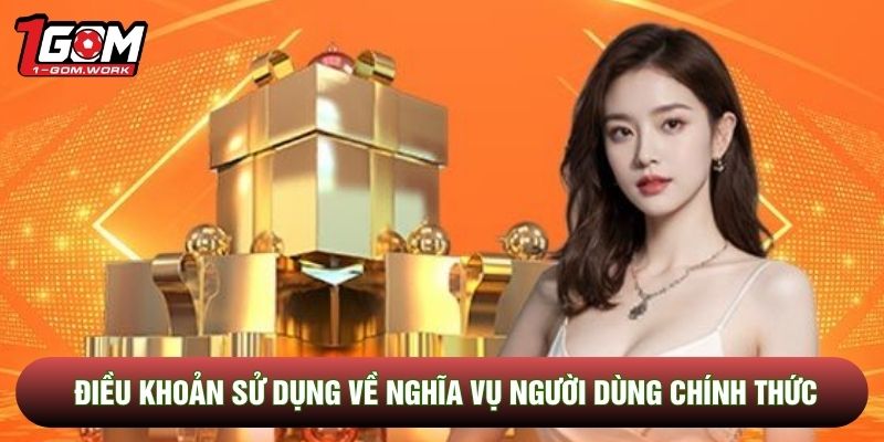 Điều khoản sử dụng về nghĩa vụ người dùng chính thức