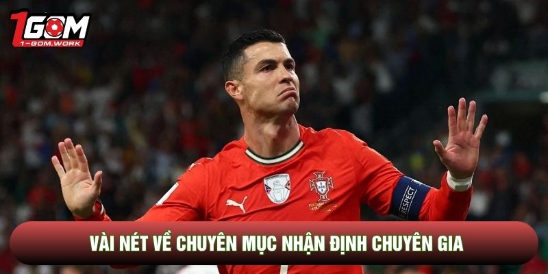 Vài nét về chuyên mục nhận định chuyên gia